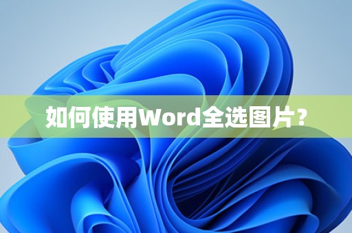 Word中全选图片的方法